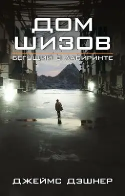 Книга Дом шизов читать онлайн