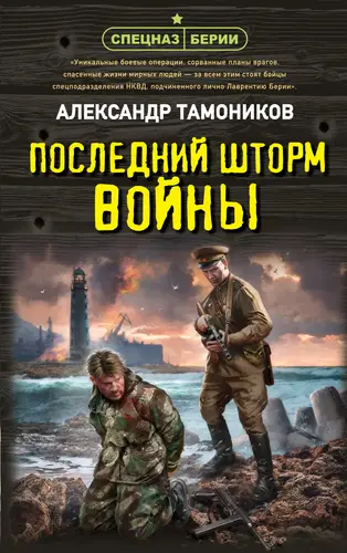 Книга Последний шторм войны читать онлайн