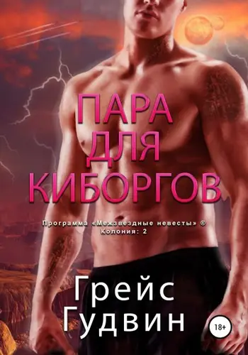 Книга Пара для киборгов читать онлайн