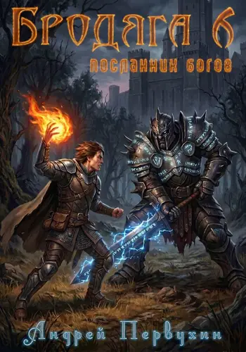 Книга Бродяга Посланник богов читать онлайн