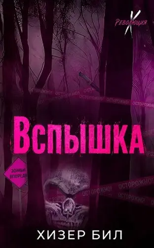 книга Вспышка