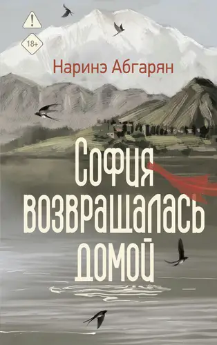 Книга София возвращалась домой читать онлайн