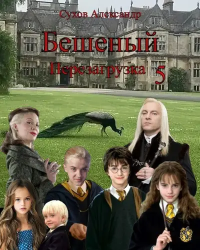 книга Бешеный. Перезагрузка 5.