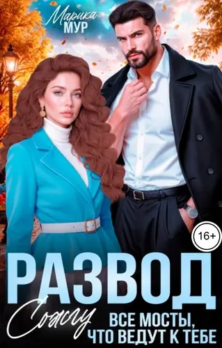 книга Развод. Сожгу все мосты, что ведут к тебе