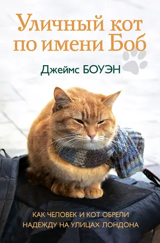 Книга Уличный кот по имени Боб. Как человек и кот обрели надежду на улицах Лондона читать онлайн
